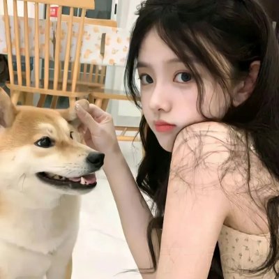 母猫
